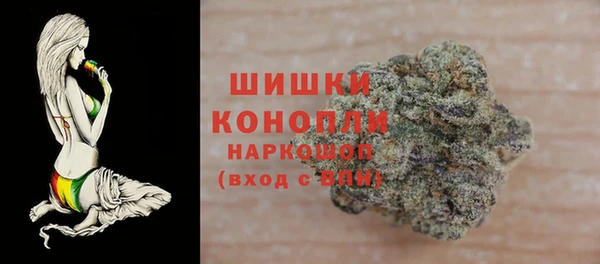 соль ск Няндома