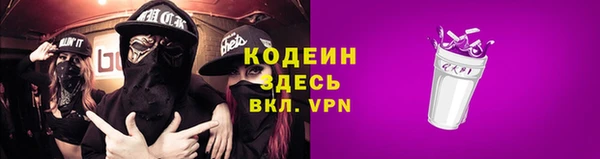 соль ск Няндома
