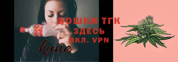 соль ск Няндома