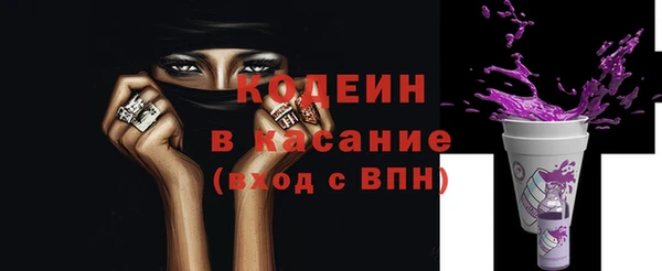 прущие грибы Новозыбков