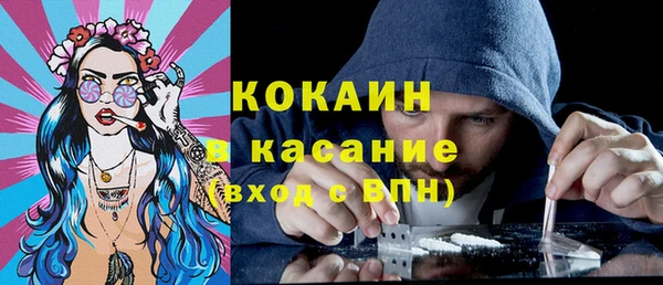 индика Новодвинск