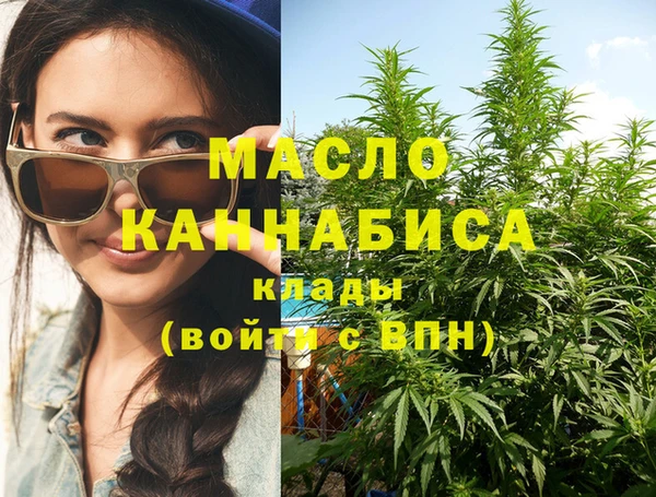 соль ск Няндома
