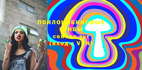 соль ск Няндома
