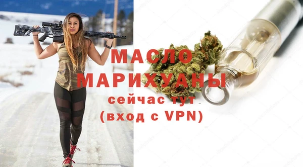 соль ск Няндома
