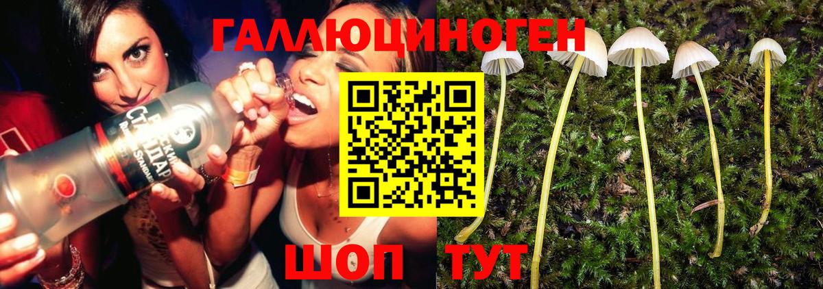 Галлюциногенные грибы MAGIC MUSHROOMS Уварово