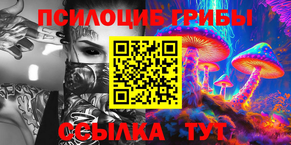 Галлюциногенные грибы Psilocybine cubensis  Уварово 